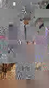 Grob Hackgut erzeugen mit einem #Albach Diamant 2000, danke an Emil Pedersen für das #HandyVideo per Nachricht. | profi