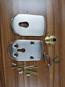 [Hot Item] Argentina Multi-Point Lock Decorative Panel, Lock Cylinder Protection Cover
