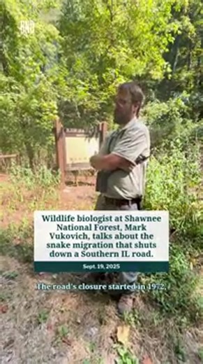 Southern IL road closes to allow 20-plus snake species crossing. Here's how to see it