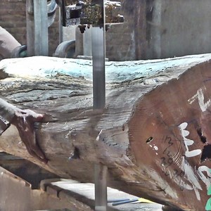 sawmill giant log | beautiful process | Sawmill & Woodworking