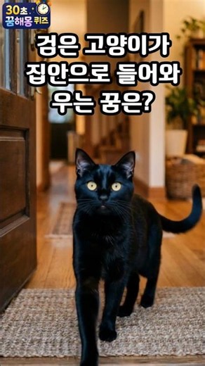검은 고양이가 집안으로 들어와 우는 꿈은? (30초꿈해몽퀴즈) #꿈풀이 #꿈해석 #해몽 #꿈뜻 #꿈의미 #지식