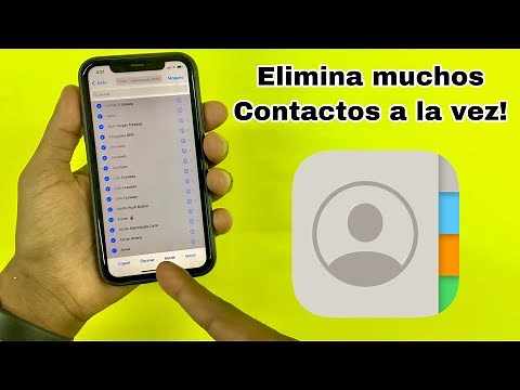 How to delete many contacts at once on iPhone easily