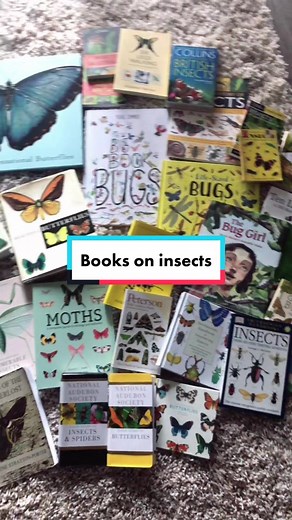 Best Insect Books for Adults & Kids: Top Recommendations