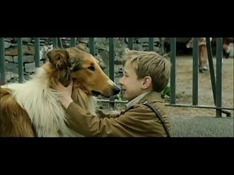 【映画】名犬ラッシー（2005） 予告