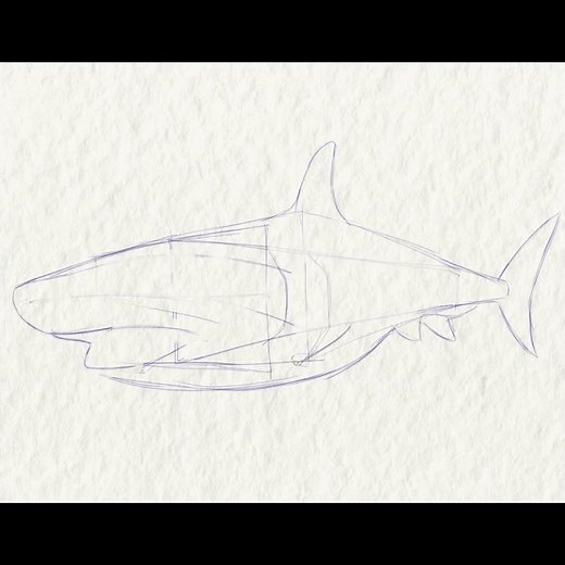 I Draw a Shark Using Only Simple Shapes