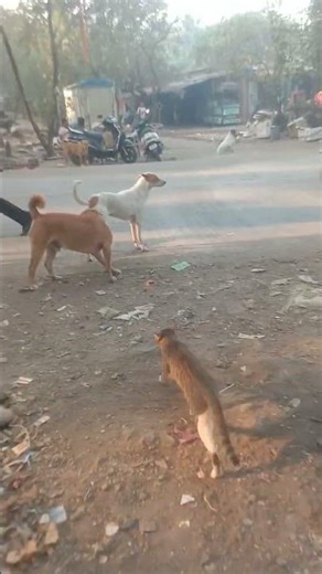 depression se upar 🤣 #funny #celine #Max #taski