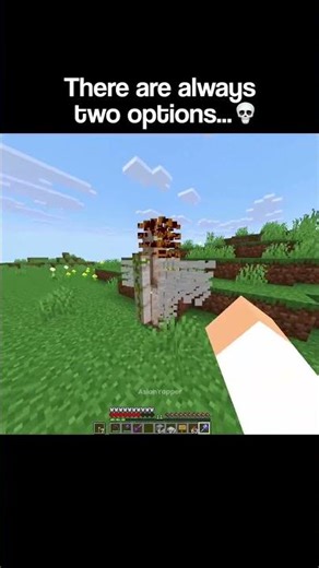 Minecraft Two Options Moment
