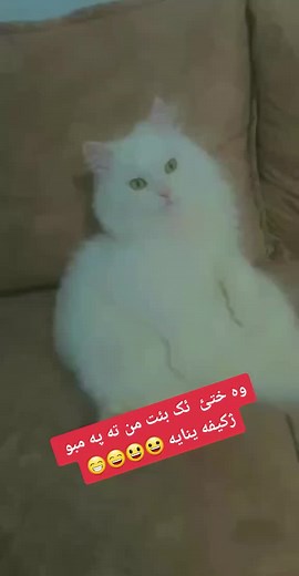 حسابات مقترحة