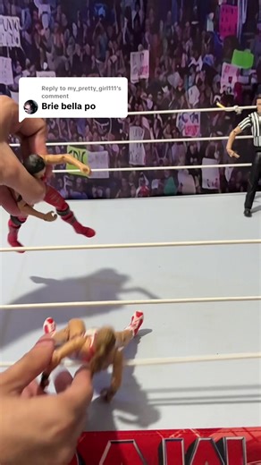 Exploring the Bella Twins: Brie and Nikki's WWE Legacy