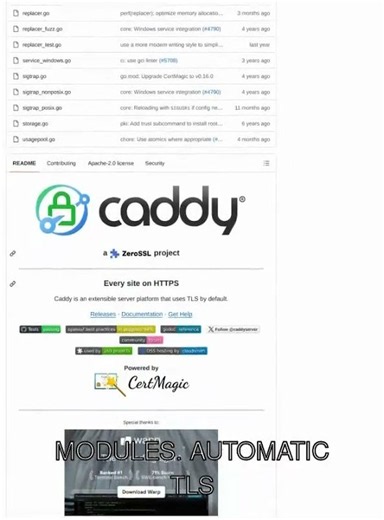 Fast, extensible multi-platform web server with automatic HTTPS and zero-config TLS