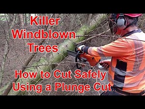 Dangerous Trees. How To Use a Plunge or "J" Cut to Make Them Safe.