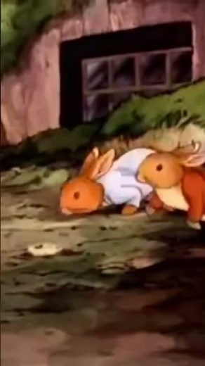 PETER RABBIT & FRIENDS shorts - Tale of Mr Tod, PART 10: "The Big Fight - Mr Tod vs Tommy Brock!"