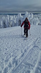 Meet Bodie. Our Backcountry Course trainer, and mountain guide in Sun Peaks 🇨🇦 ✅ On the Snowminds Backcountry Course you will get approx. 2 days of weekly training in avalanche safety, skiing technique in the powder snow, first aid, snow profiles, ski touring, use of safety equipment, navigation, rescue operations, and much, much more. To participate in the program you will need to either participate in our 3-week ski or snowboard instructor training program in Canada in November and December 