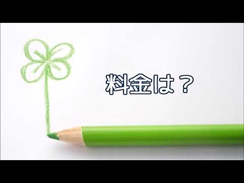シキミの特徴と管理方法～強い剪定には要注意！～ 加須市・久喜市・幸手市の植木屋