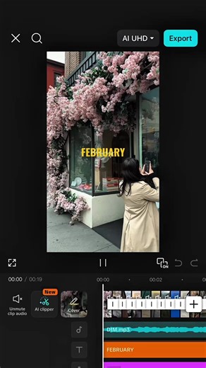 February Diary CapCut Template