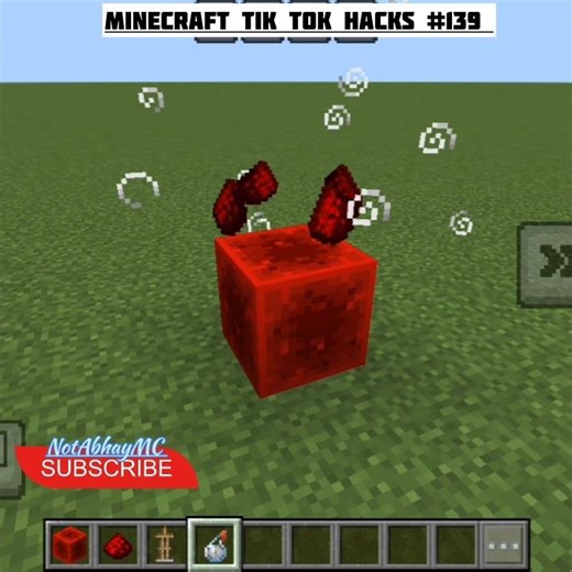 MINECRAFT TIK TOK HACKS #139 #minecraft #viral #minecrafttiktok