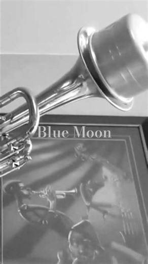 Blue Moon. Memory Lane Jazz. #bluemoon #jazzldnont #ldnont #jazzstandards #guitar #trumpet