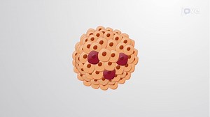 Video: Cancer Stem Cells and Tumor Maintenance