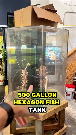 63K views · 542 reactions | This fish tank is so big could NOT fit...