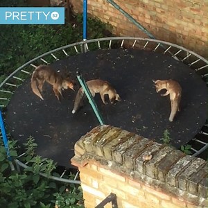 It's that time of the year for the trampoline fun to start 😂😂 | Tyla