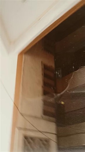 #maine jisko pyar kiya ha wo ho tum #viralvideo #lyrics