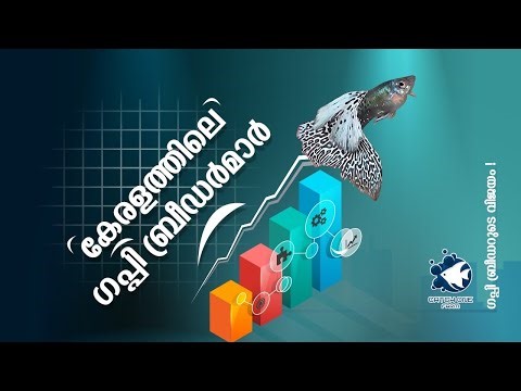 This is the first time in Kerala | The success of a guppy breeder | guppy fish farm in Kerala