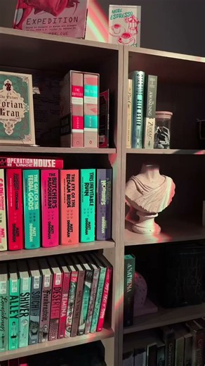 Installing new shelves for my library makeover