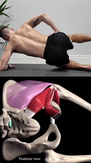 Hip Internal/External Rotation: Best Beginner Exercise