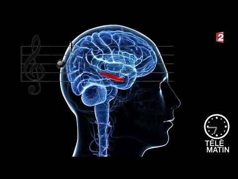 Santé - Musique et cerveau