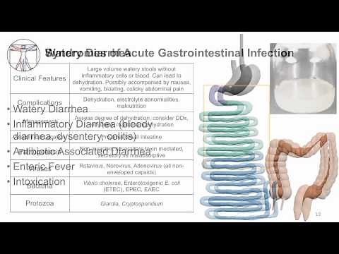 Acute GI: Syndromes overview
