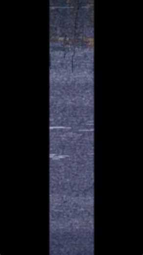 Vidéos de CAMARA (@bakcma) avec son original - BB Doucoure 🌸🩵