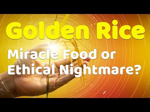 Golden Rice: Miracle Food or Ethical Nightmare?