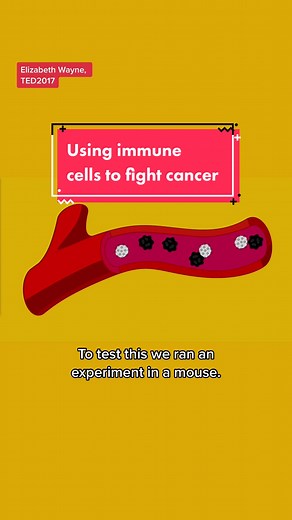 Innovative Cancer Treatment Using Immune Cells | TED Talk