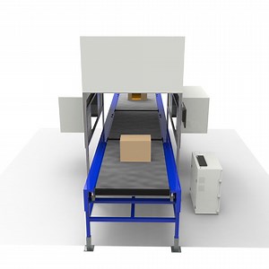 [Hot Item] Dws Weigh-Scan Logistics Machine with Conveyor Scanning System