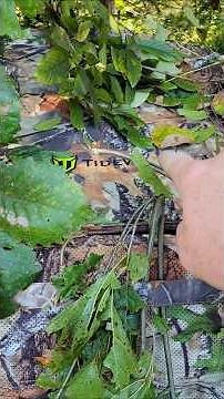 TideWe See Through Hunting Blind