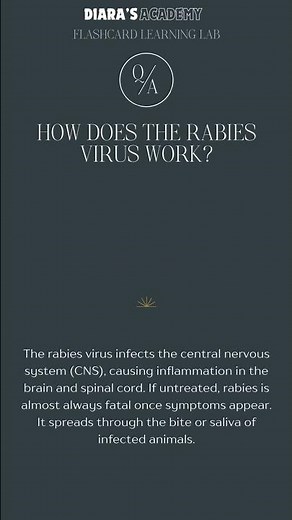 How Does the Rabies Virus Work