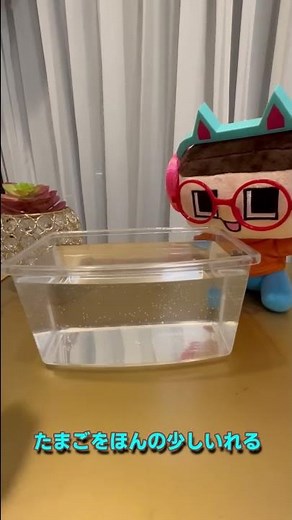 Guchiyama-kun raises the shrimp that come out of the capsule machine