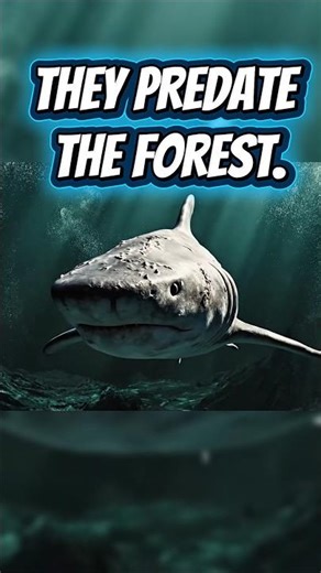 Sharks Are Older Than Trees (The Timeline of Earth) 🦈🌲