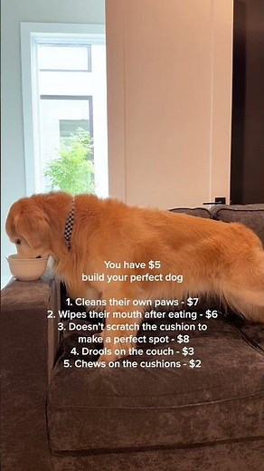 Things you worry about if you don't own a Lovesac 🥱