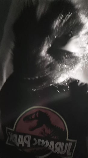 на неделе постараюсь подстричь ее #фурри #рек #furry