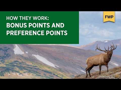 How Bonus Points and Preference Points Work