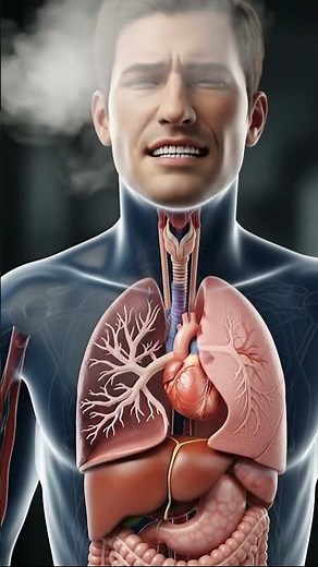 "Smoking Calms You." Fact: It Does This to Your Brain #shorts