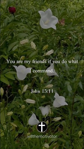 You Are My Friends | John 15:14
