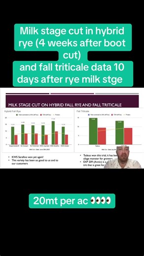 Stamp Seeds on Instagram: "Silage of hybrid fall rye and fall triticale https://www.stampseeds.com/winter-cereals-forage-trials.html"