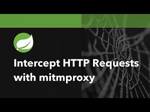 How To Intercept HTTP(S) Requests With Spring Boot And mitmproxy