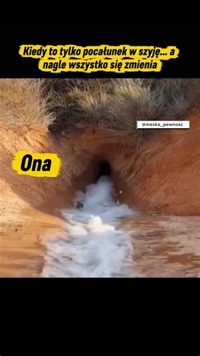 Obserwuj @Meska_Pewnosc jeśli masz blokady w relacjach Kobieta potrafi odczytać więcej sygnałów ni