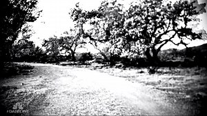 16K views · 133 reactions | They were trapped. And time was ticking... Josh Mankiewicz reports tonight on an all-new Dateline at 10:20 ET/9:20 CT, directly following Jesus Christ Superstar on NBC. | Dateline NBC | Facebook