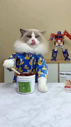 Such satisfying hacks 🤗 #thatlittlepuff #catsoftiktok #lifehacks