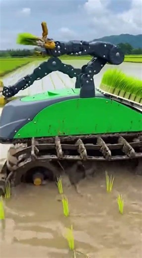 Agritech Innovation in Action Discover Smart Farming Solutions