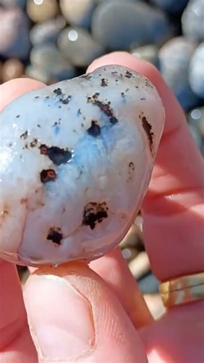amazing agate found backpacking....stay tooned for the full video!